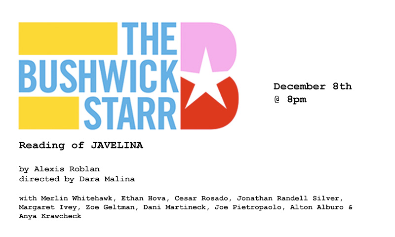 JAVELINA by Alexis Roblan, directed by Dara Malina, with Merlin Whitehawk, Ethan Hova, Cesar Rosado, Jonathan Randell Silver, Margaret Ivey, Zoe Geltman, Dani Martineck, Joe Pietropaolo, Alton Alburo & Anya Krawcheck